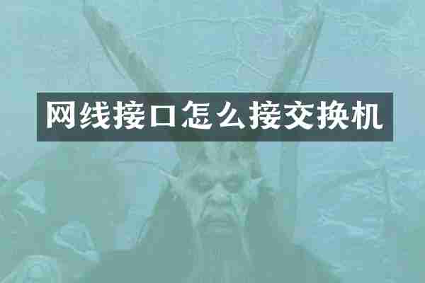 网线接口怎么接交换机