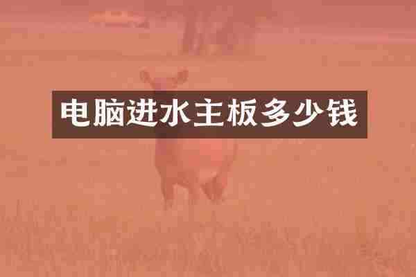 电脑进水主板多少钱