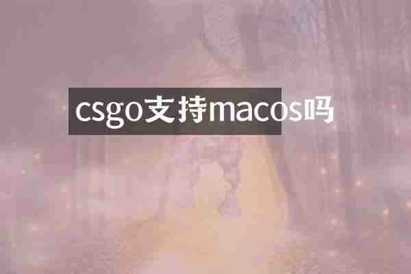 csgo支持macos吗