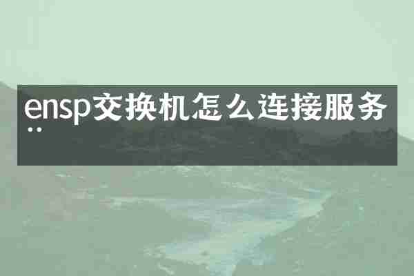 ensp交换机怎么连接服务器