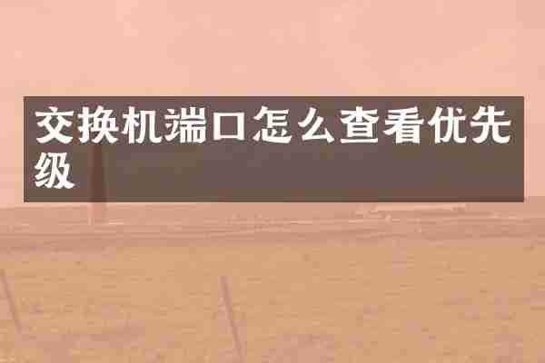 交换机端口怎么查看优先级