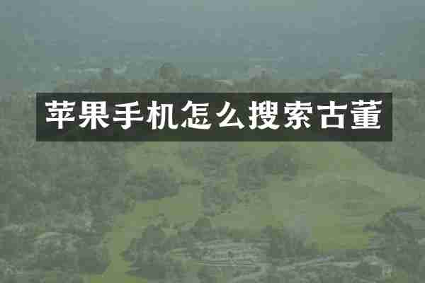 苹果手机怎么搜索古董