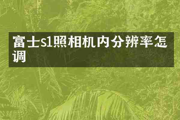富士s1照相机内分辨率怎么调