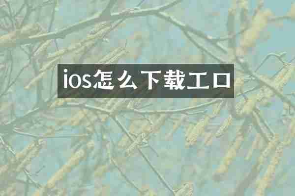 ios怎么下载工口