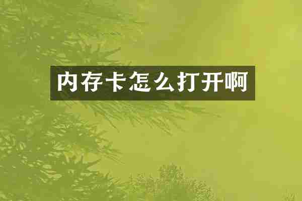 内存卡怎么打开啊