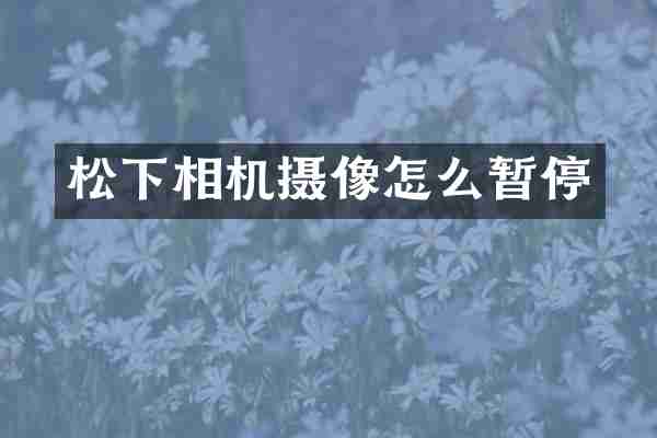 松下相机摄像怎么暂停