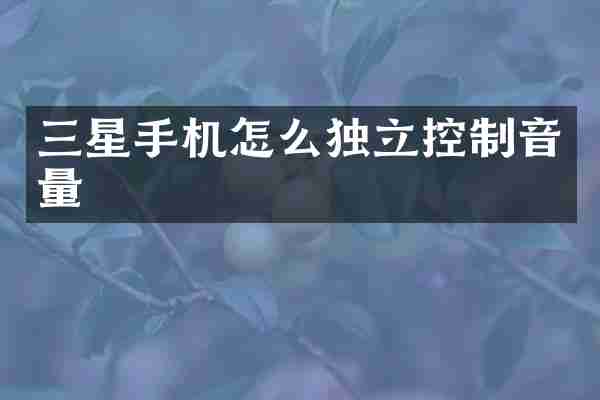 三星手机怎么独立控制音量