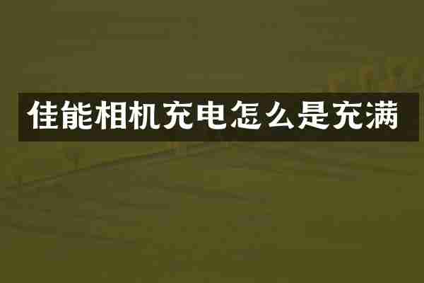 佳能相机充电怎么是充满