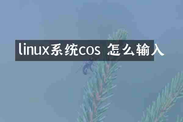 linux系统cos 怎么输入