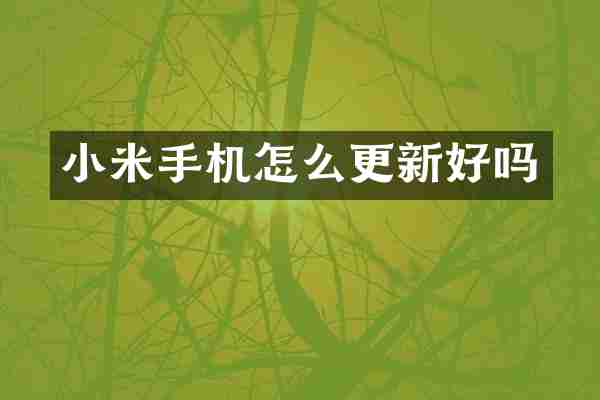 小米手机怎么更新好吗