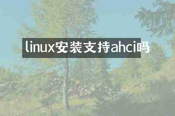 linux安装支持ahci吗