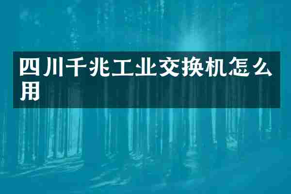 四川千兆工业交换机怎么用