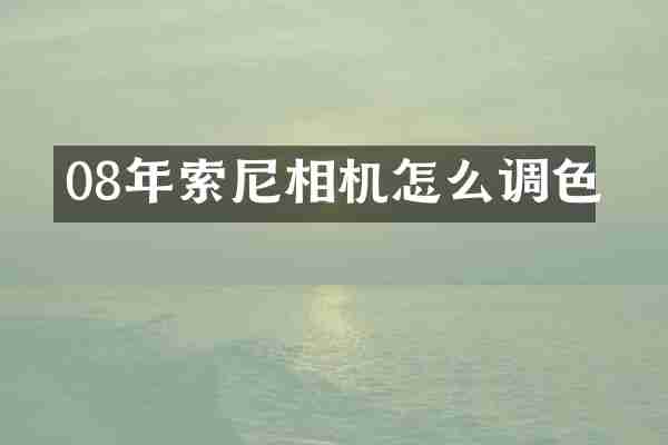 08年索尼相机怎么调色
