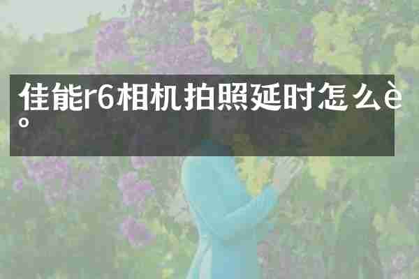 佳能r6相机拍照延时怎么调