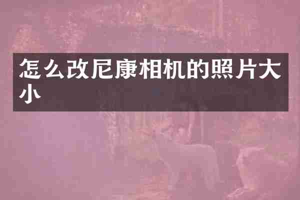 怎么改尼康相机的照片大小