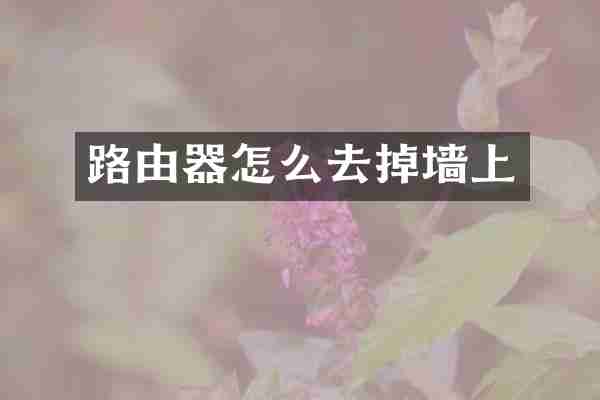 路由器怎么去掉墙上