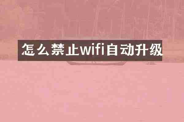 怎么禁止wifi自动升级