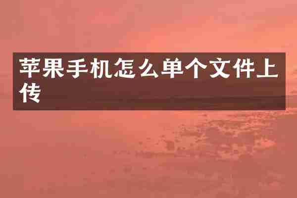 苹果手机怎么单个文件上传