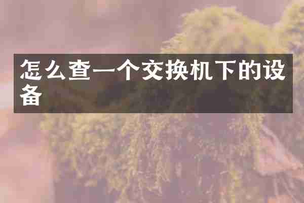 怎么查一个交换机下的设备
