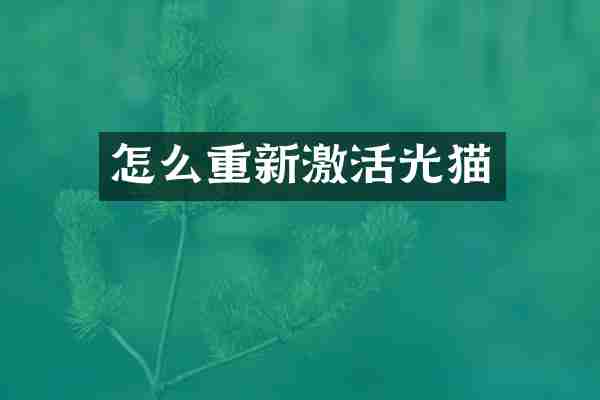怎么重新激活光猫