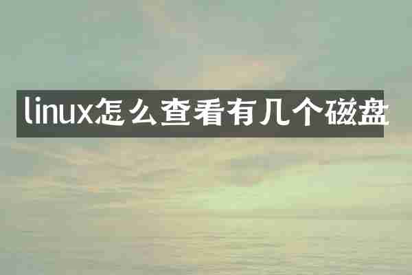 linux怎么查看有几个磁盘