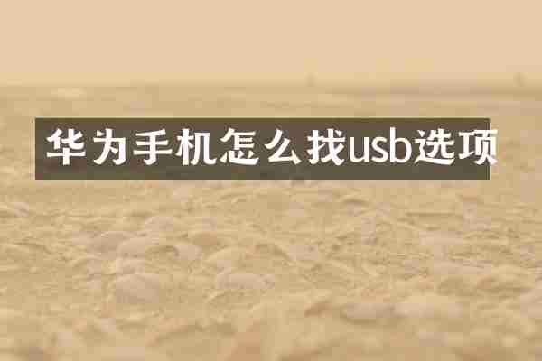 华为手机怎么找usb选项
