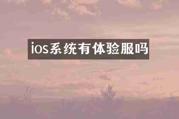 ios系统有体验服吗