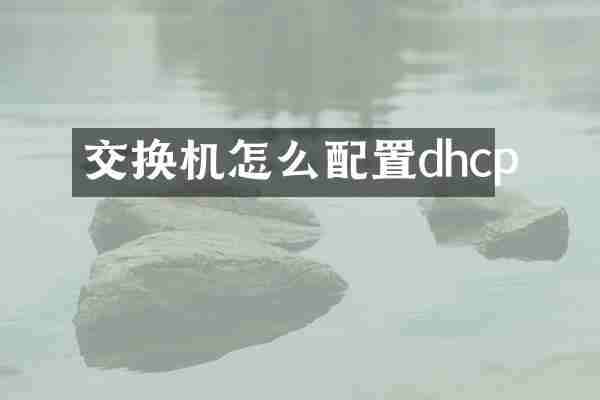交换机怎么配置dhcp