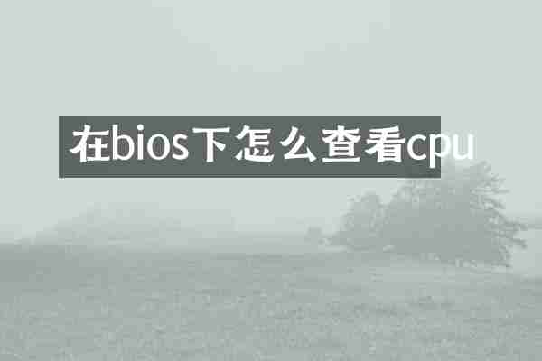 在bios下怎么查看cpu