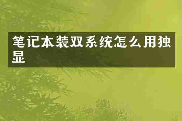 笔记本装双系统怎么用独显