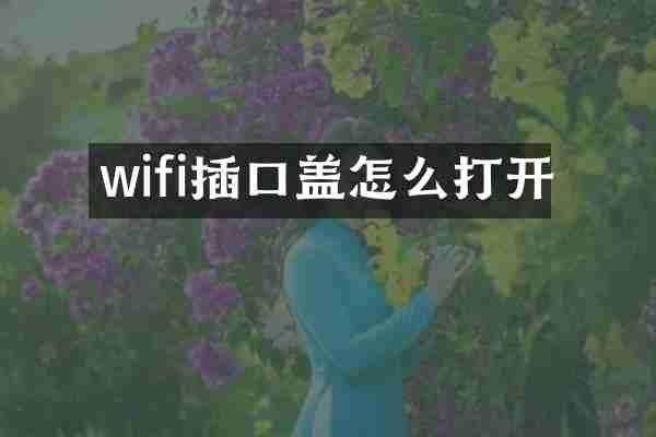 wifi插口盖怎么打开