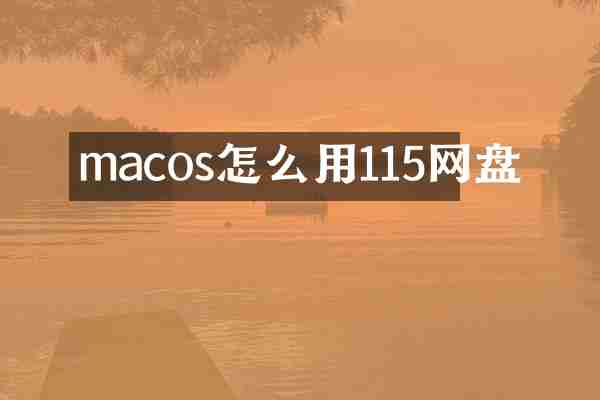 macos怎么用115网盘