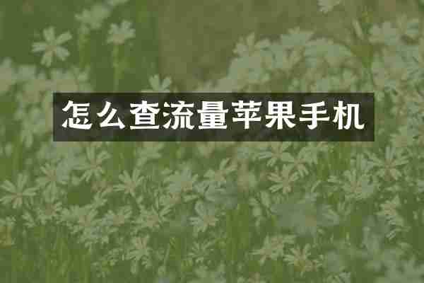 怎么查流量苹果手机
