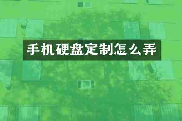手机硬盘定制怎么弄