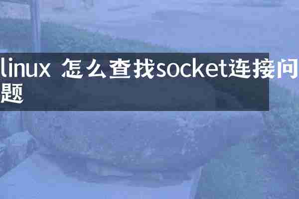 linux 怎么查找socket连接问题