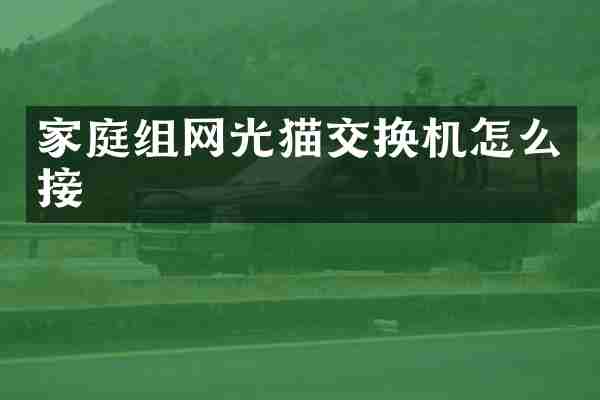 家庭组网光猫交换机怎么接
