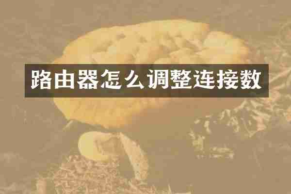 路由器怎么调整连接数