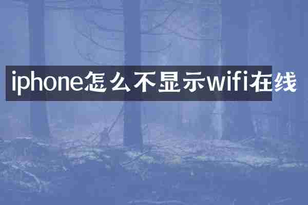 iphone怎么不显示wifi在线