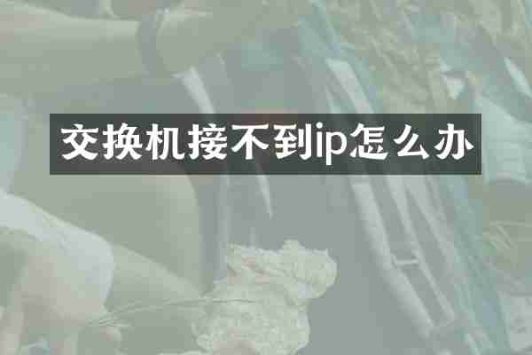 交换机接不到ip怎么办