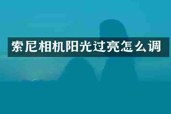 索尼相机阳光过亮怎么调