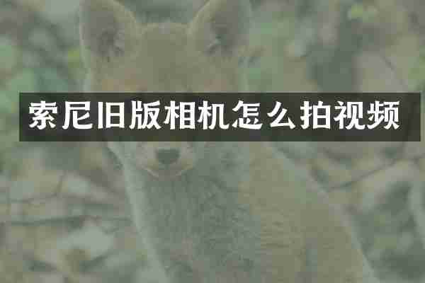 索尼旧版相机怎么拍视频