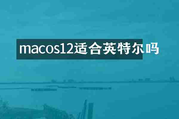 macos12适合英特尔吗