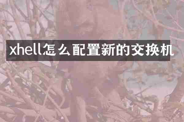 xhell怎么配置新的交换机