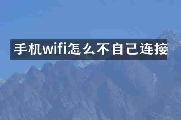 手机wifi怎么不自己连接