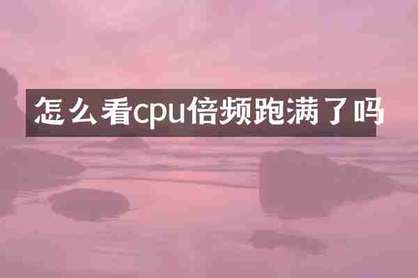 怎么看cpu倍频跑满了吗