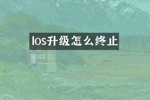 Ios升级怎么终止