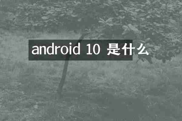 android 10 是什么