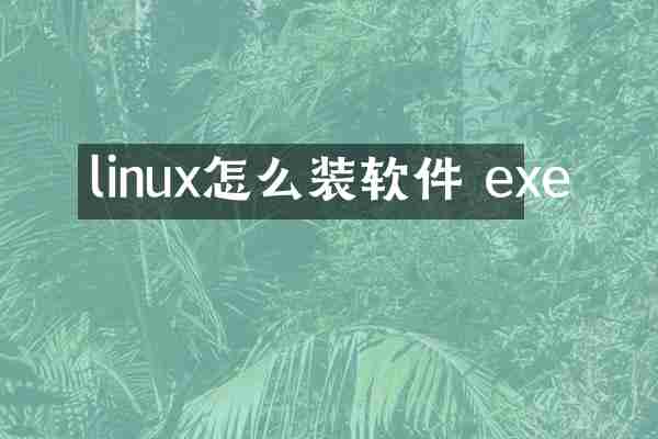 linux怎么装软件 exe