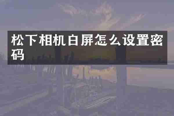 松下相机白屏怎么设置密码