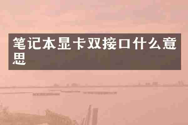 笔记本显卡双接口什么意思